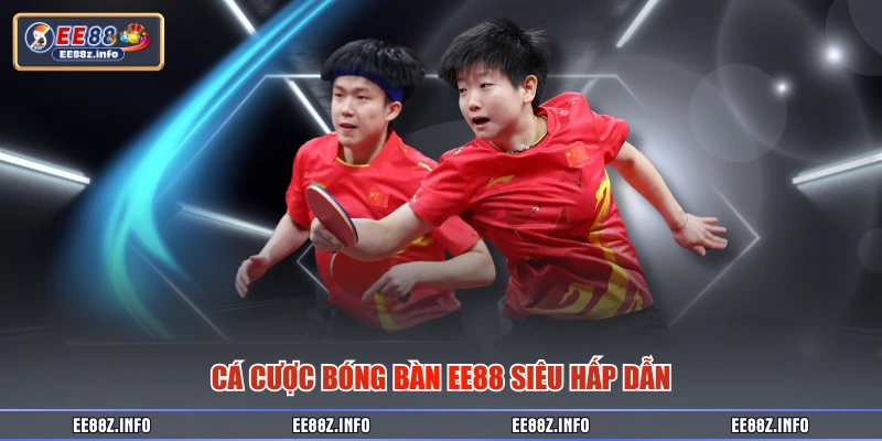Cá cược bóng bàn EE88 siêu hấp dẫn