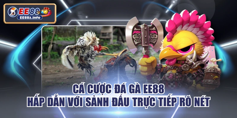 Cá Cược Đá Gà EE88 Hấp Dẫn Với Sảnh Đấu Trực Tiếp Rõ Nét