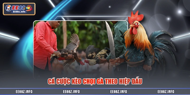 Cá cược kèo chọi gà theo hiệp đấu 