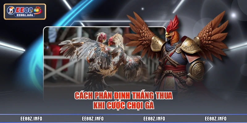 Cách phân định thắng thua khi cược chọi gà