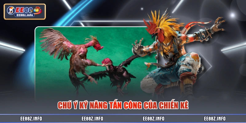 Chú ý kỹ năng tấn công của chiến kê