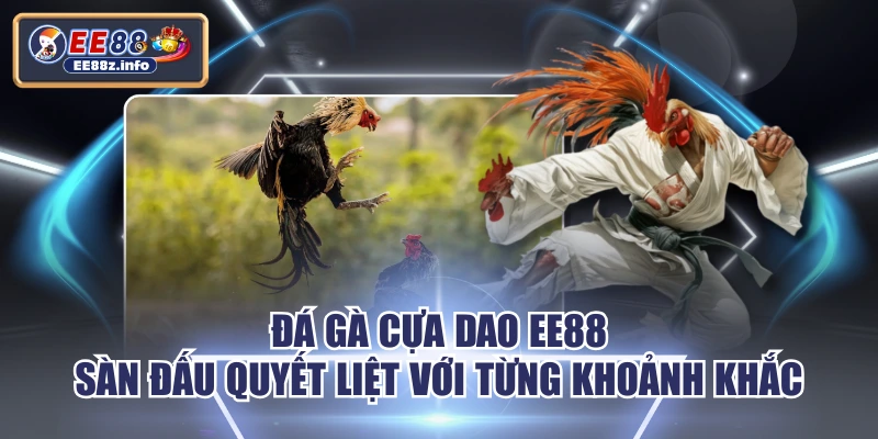 Đá Gà Cựa Dao EE88 - Sàn Đấu Quyết Liệt Với Từng Khoảnh Khắc