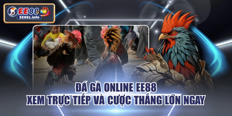 Đá Gà Online EE88 - Xem Trực Tiếp Và Cược Thắng Lớn Ngay