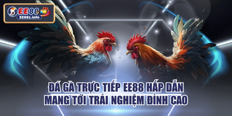 Đá Gà Trực Tiếp EE88 Hấp Dẫn Mang Tới Trải Nghiệm Đỉnh Cao