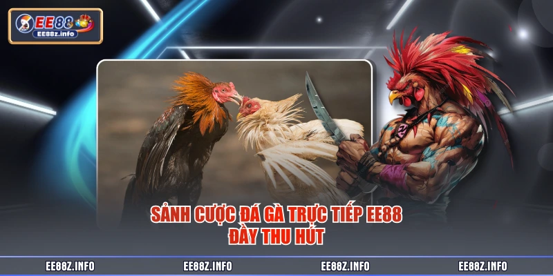 Sảnh cược đá gà trực tiếp EE88 đầy thu hút