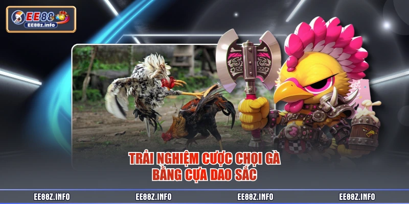 Trải nghiệm cược chọi gà bằng cựa dao sắc