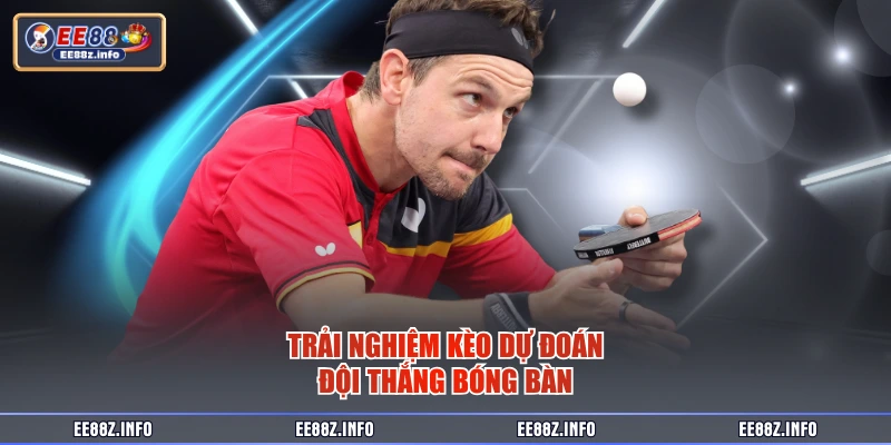 Trải nghiệm kèo dự đoán đội thắng bóng bàn